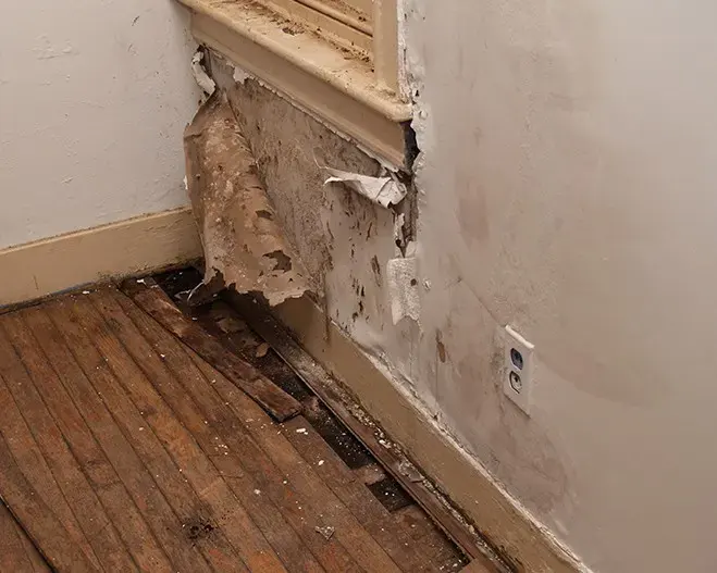 Buckled wood floor and damaged plaster at a wet wall in Walnut Creek, CA