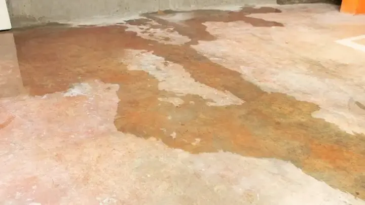 Water spreading across a stained concrete floor in Walnut Creek, CA