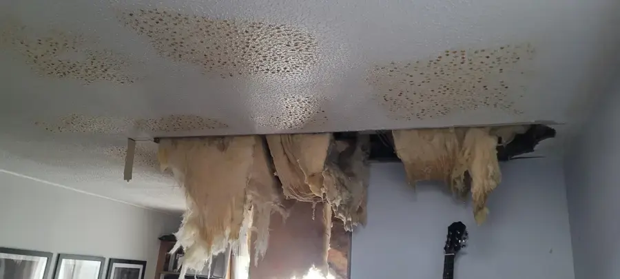 Ceiling drywall and wet insulation hanging down after a leak from above