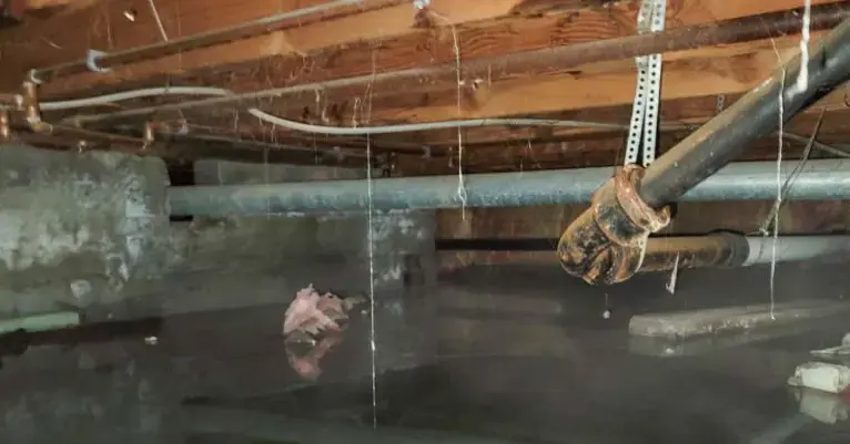 Standing water under the floor joists of a flooded crawl space