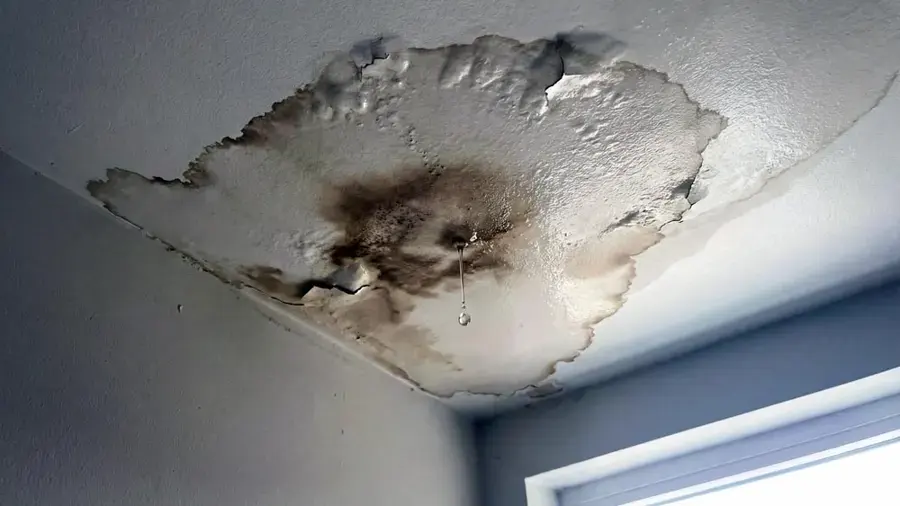 Stained, sagging ceiling drywall under a roof leak
